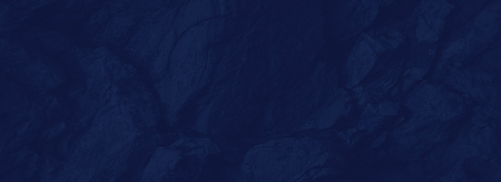 Banner media