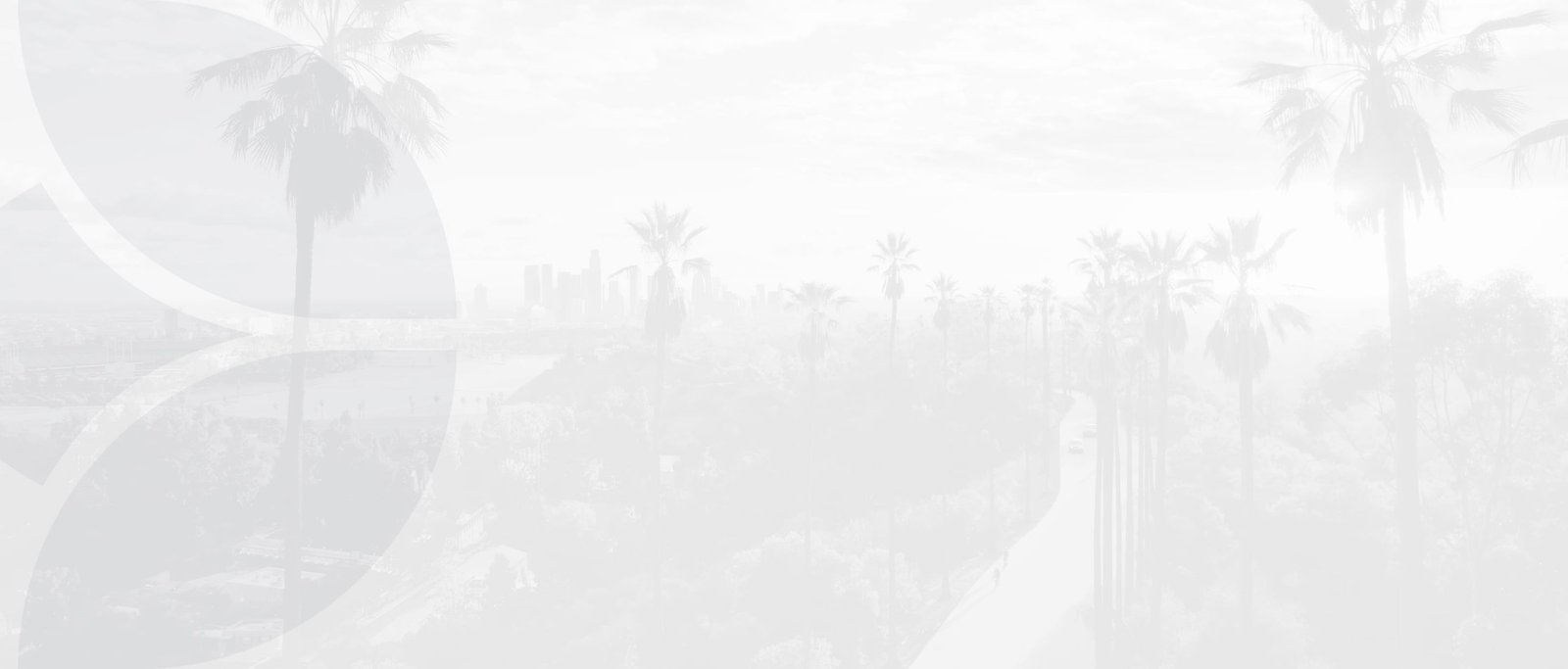 palm trees